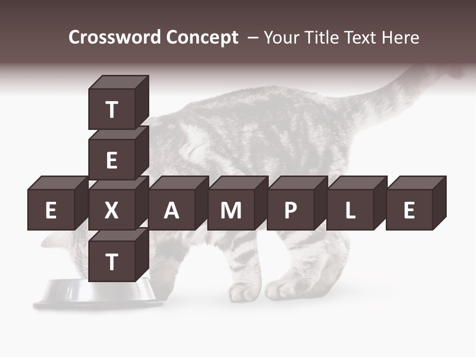 Hair Young Isolated PowerPoint Template