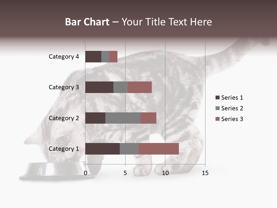 Hair Young Isolated PowerPoint Template