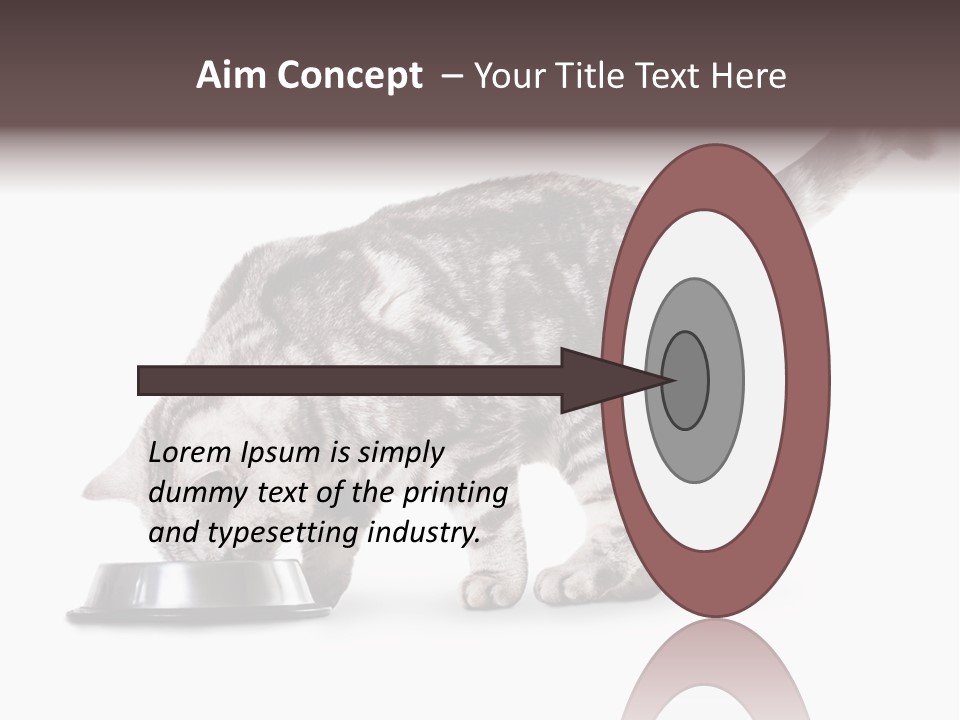 Hair Young Isolated PowerPoint Template