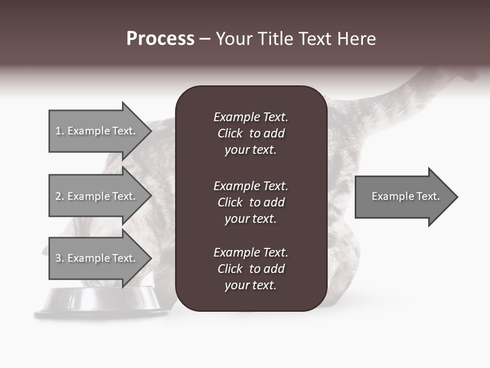 Hair Young Isolated PowerPoint Template