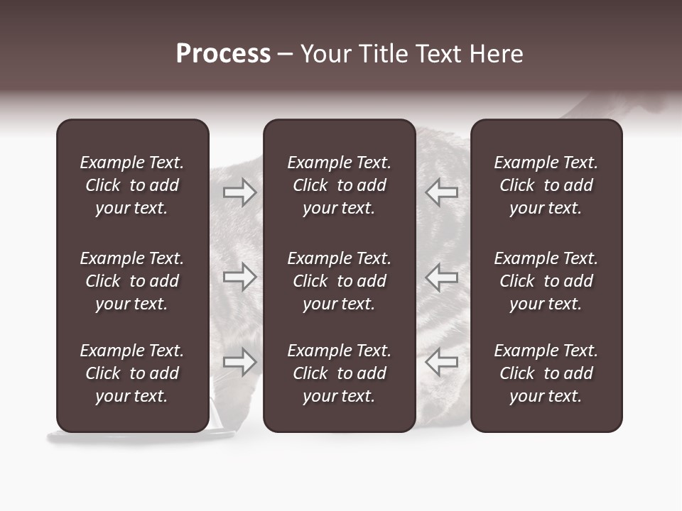Hair Young Isolated PowerPoint Template