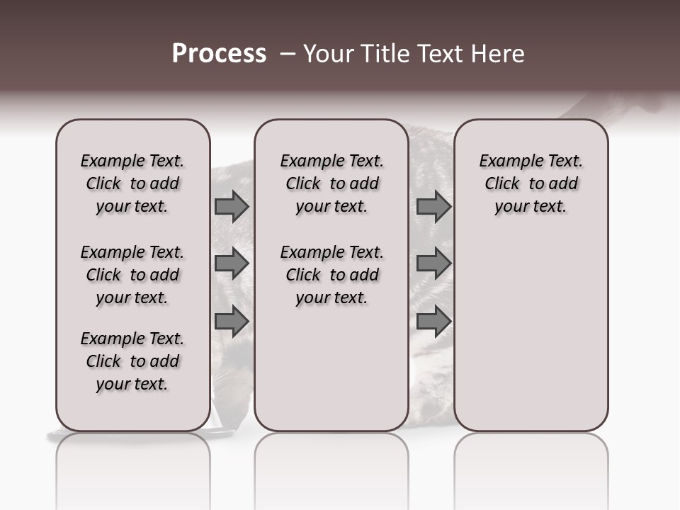 Hair Young Isolated PowerPoint Template