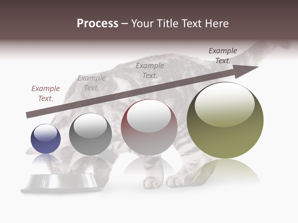 Hair Young Isolated PowerPoint Template