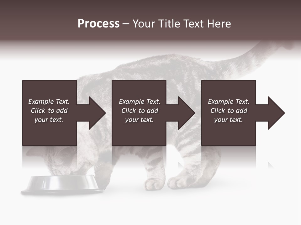 Hair Young Isolated PowerPoint Template