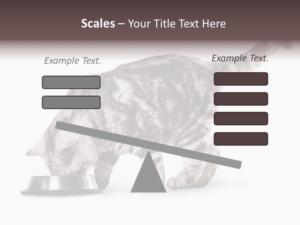 Hair Young Isolated PowerPoint Template