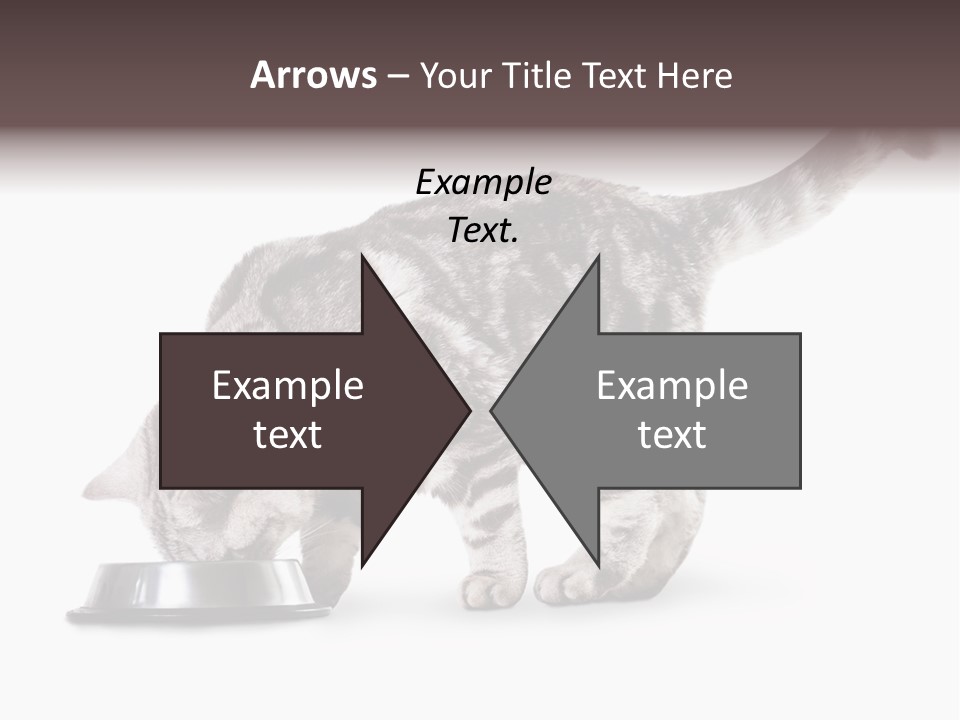 Hair Young Isolated PowerPoint Template