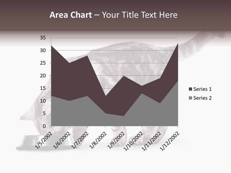Hair Young Isolated PowerPoint Template