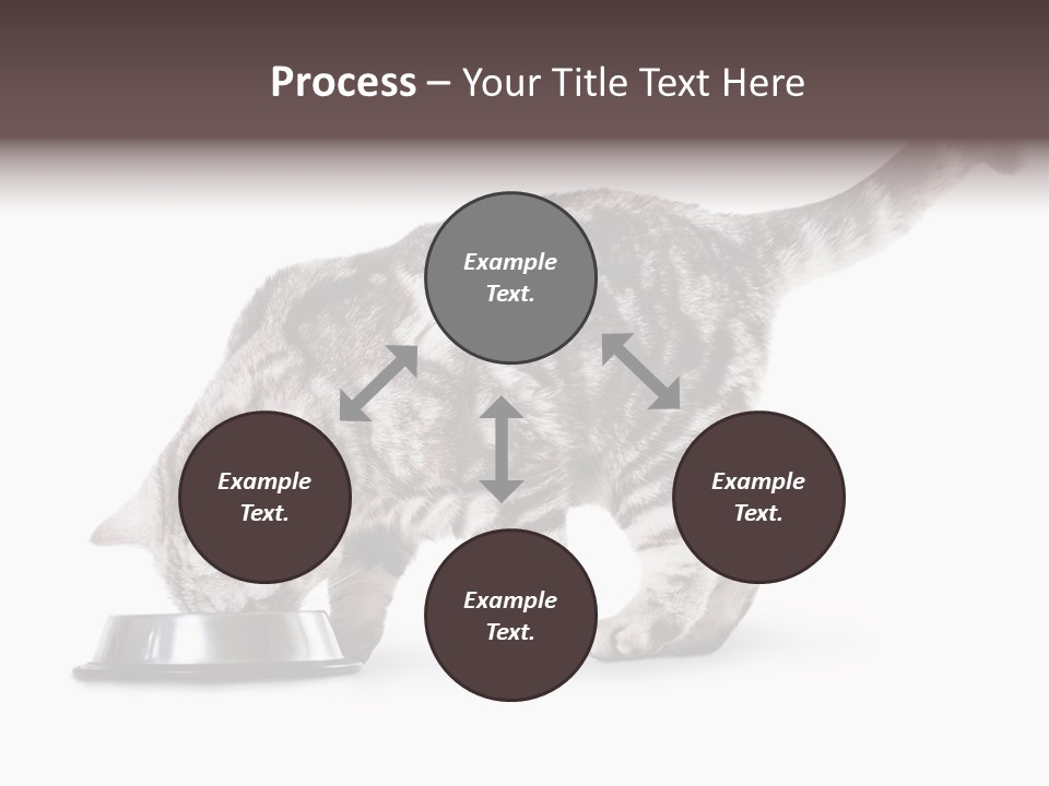 Hair Young Isolated PowerPoint Template