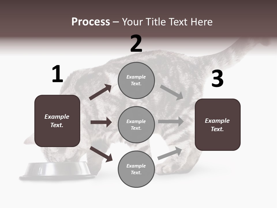 Hair Young Isolated PowerPoint Template