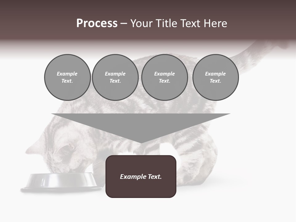 Hair Young Isolated PowerPoint Template