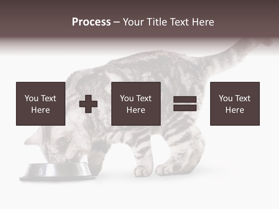 Hair Young Isolated PowerPoint Template
