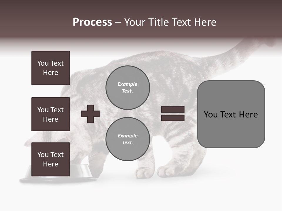 Hair Young Isolated PowerPoint Template