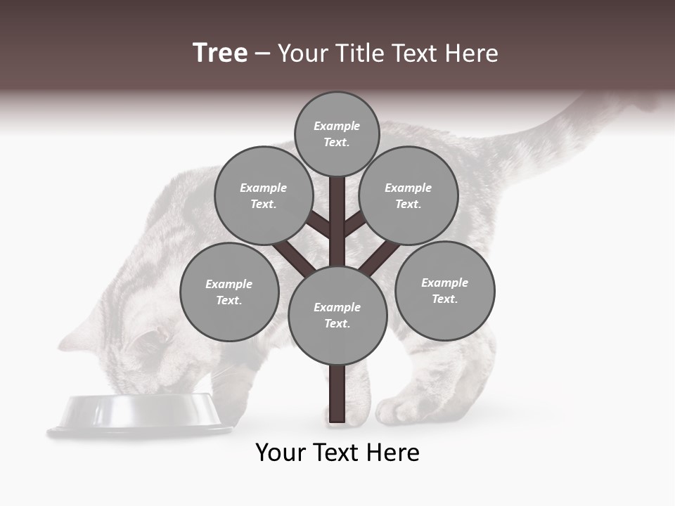 Hair Young Isolated PowerPoint Template