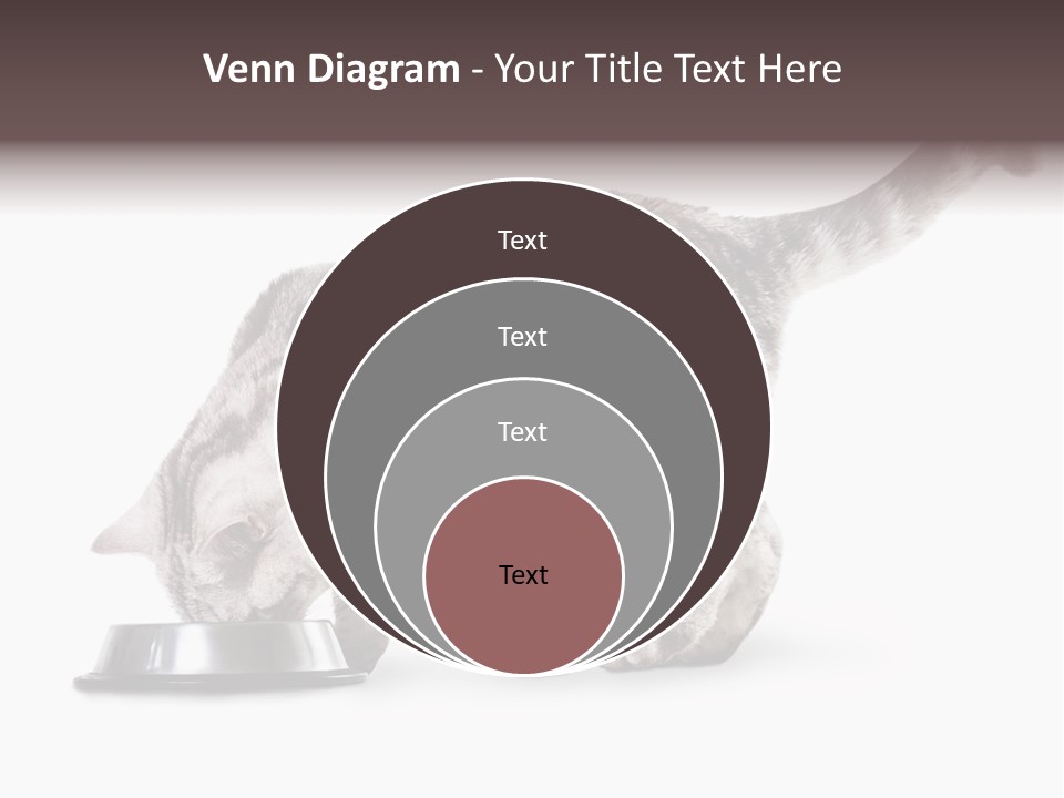 Hair Young Isolated PowerPoint Template