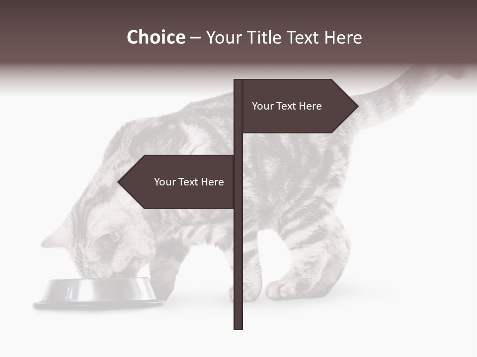 Hair Young Isolated PowerPoint Template