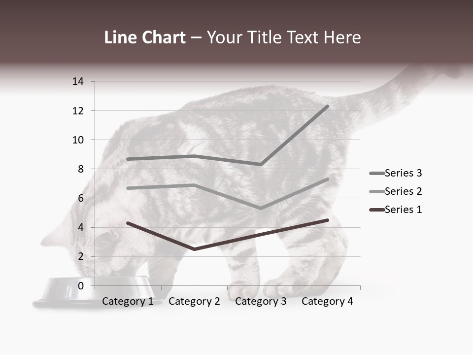 Hair Young Isolated PowerPoint Template