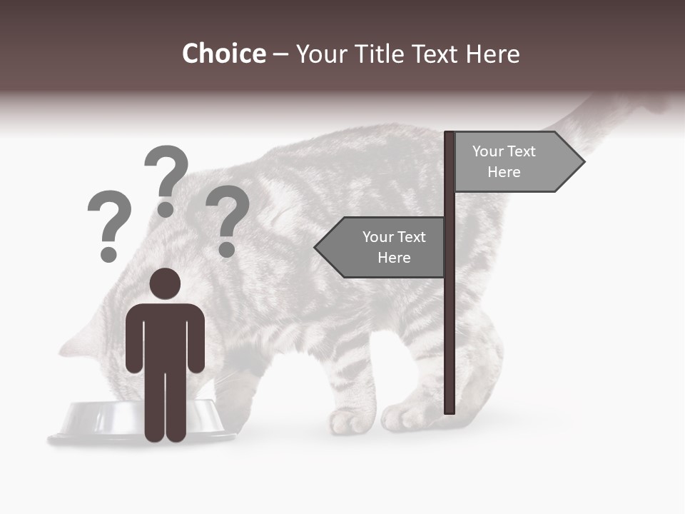 Hair Young Isolated PowerPoint Template