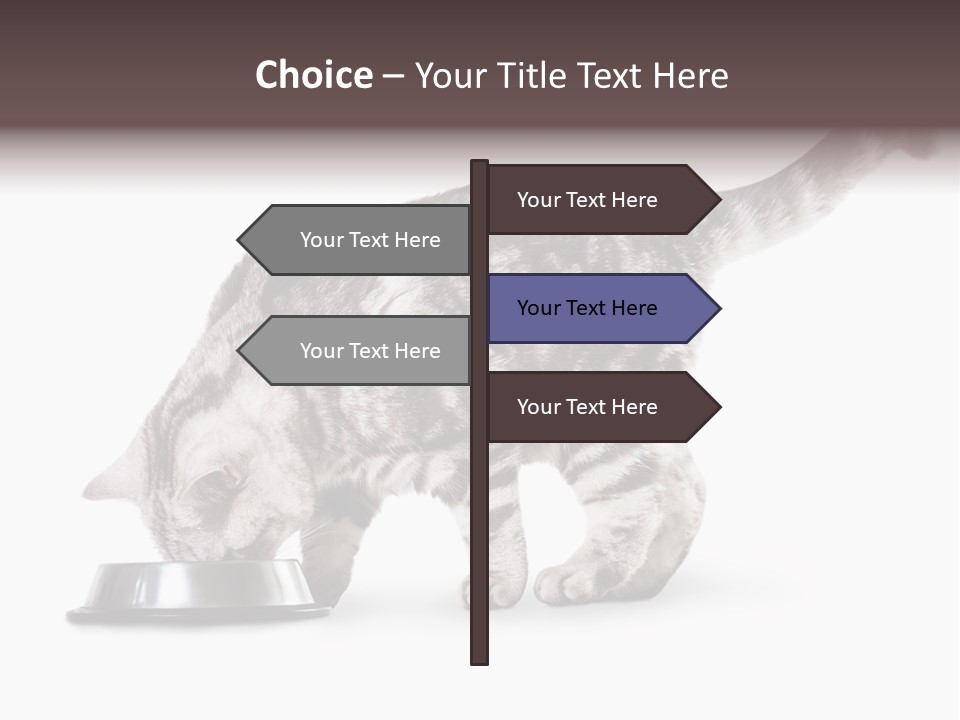 Hair Young Isolated PowerPoint Template