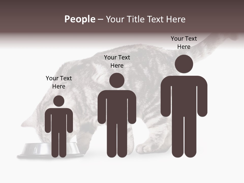 Hair Young Isolated PowerPoint Template