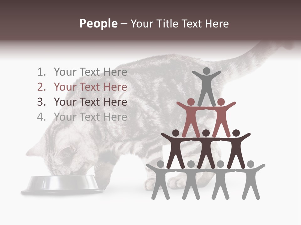 Hair Young Isolated PowerPoint Template