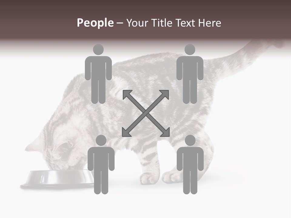 Hair Young Isolated PowerPoint Template