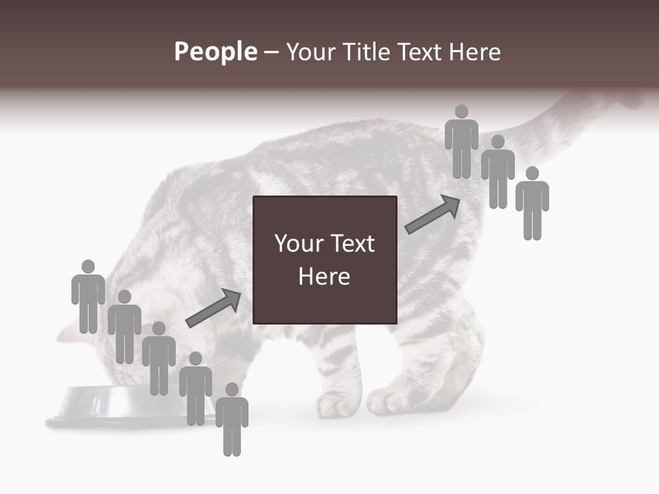 Hair Young Isolated PowerPoint Template