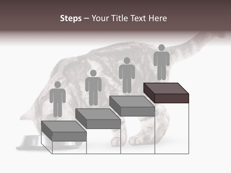 Hair Young Isolated PowerPoint Template