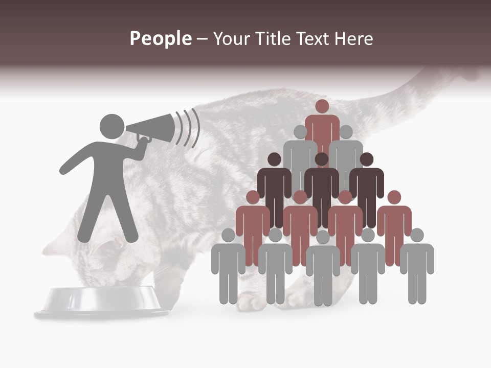 Hair Young Isolated PowerPoint Template