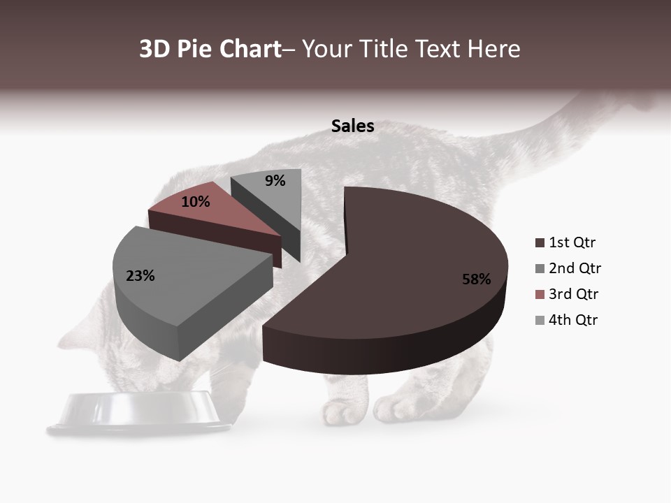 Hair Young Isolated PowerPoint Template