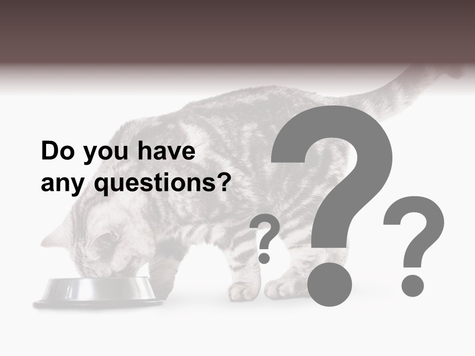 Hair Young Isolated PowerPoint Template