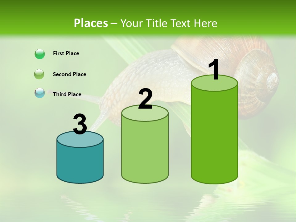 Close Up Macro Closeup PowerPoint Template