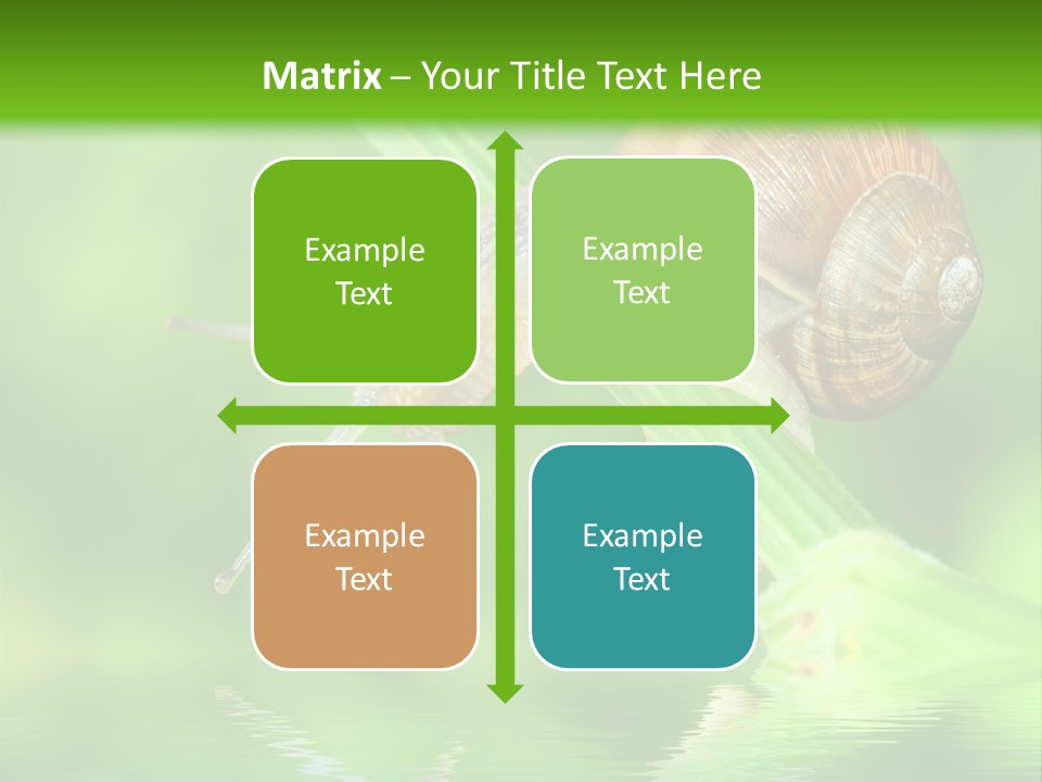 Close Up Macro Closeup PowerPoint Template