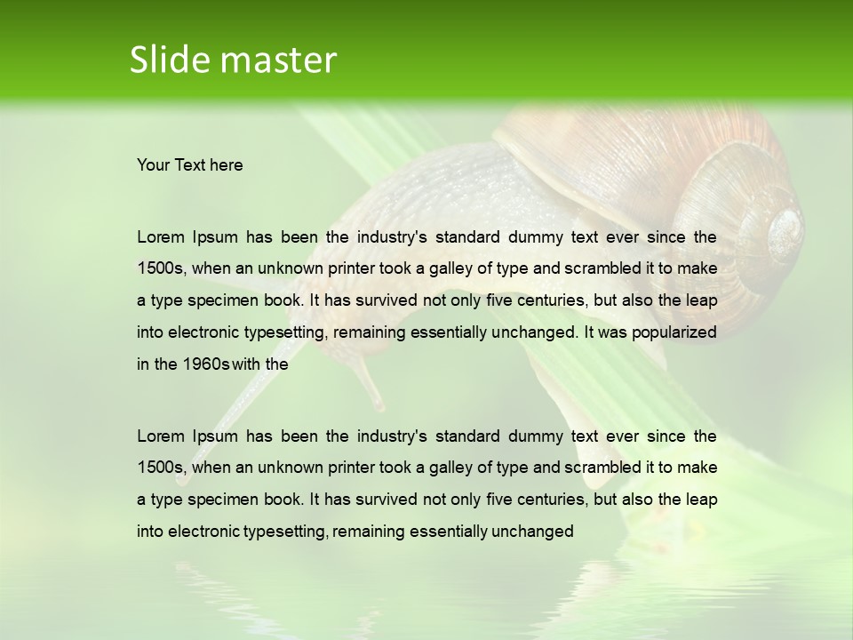Close Up Macro Closeup PowerPoint Template