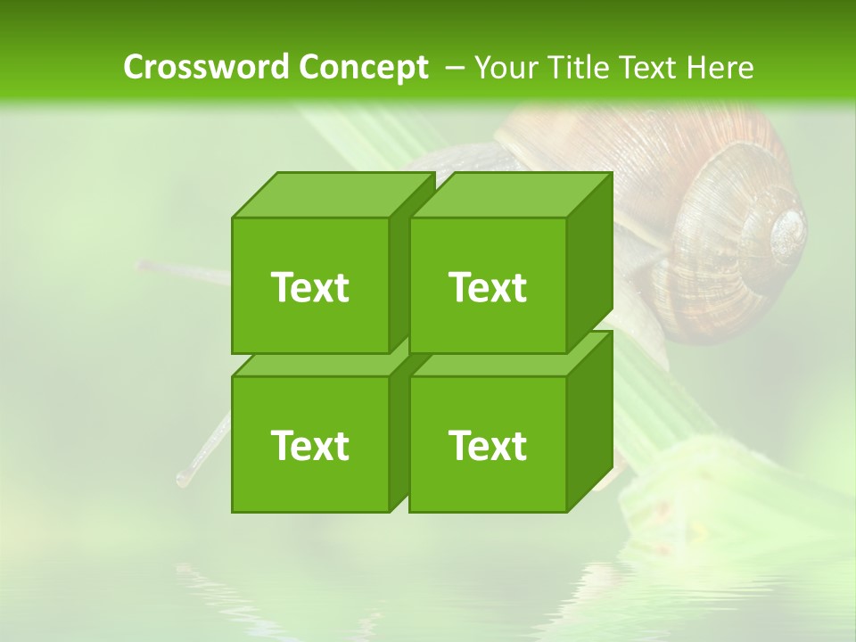 Close Up Macro Closeup PowerPoint Template
