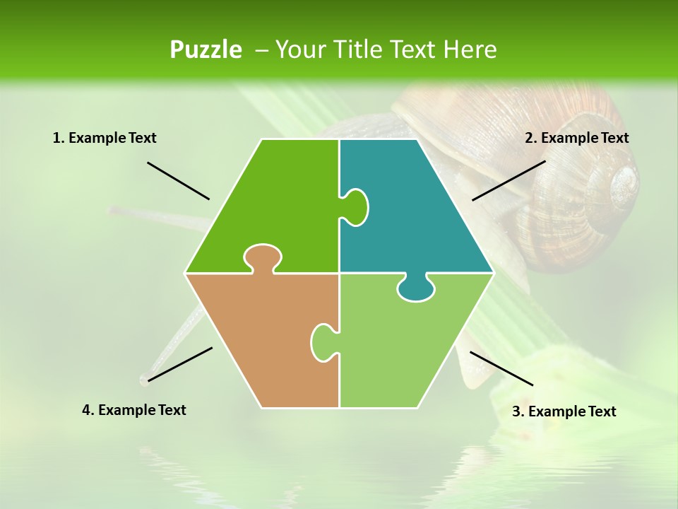 Close Up Macro Closeup PowerPoint Template