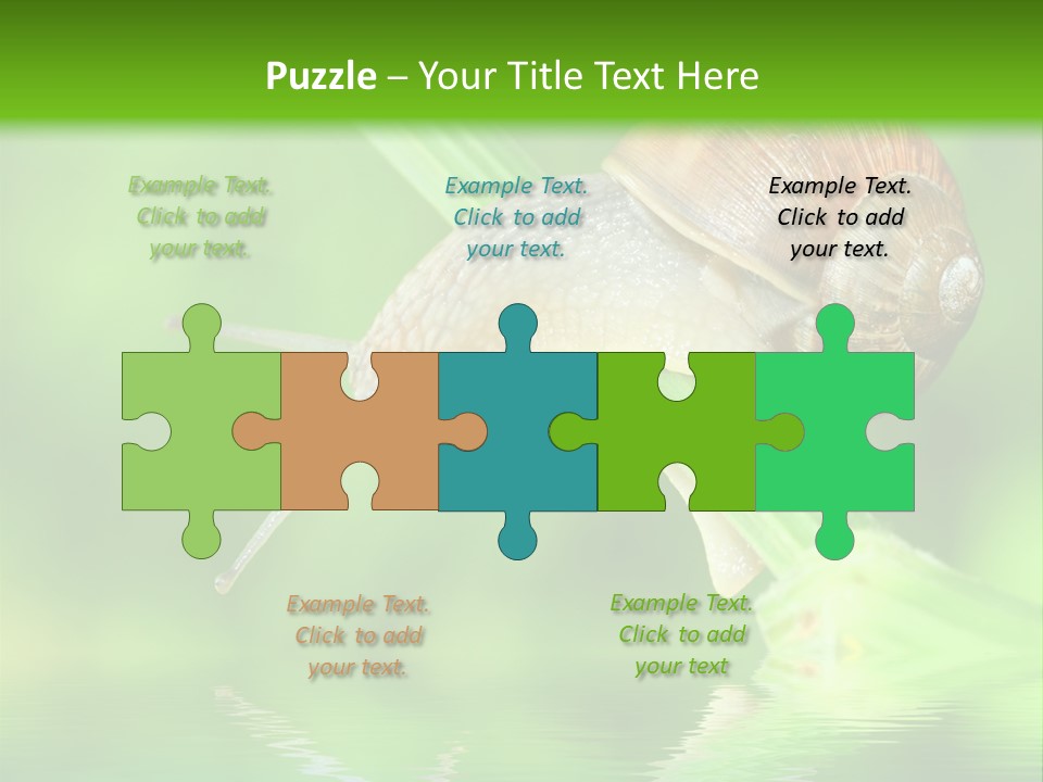 Close Up Macro Closeup PowerPoint Template