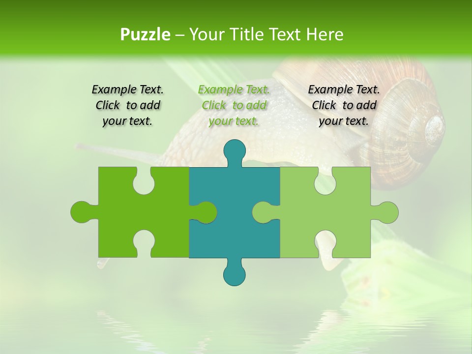 Close Up Macro Closeup PowerPoint Template