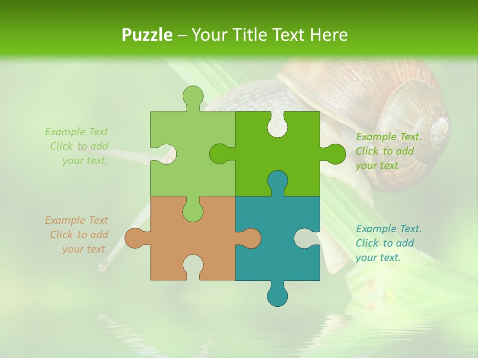 Close Up Macro Closeup PowerPoint Template