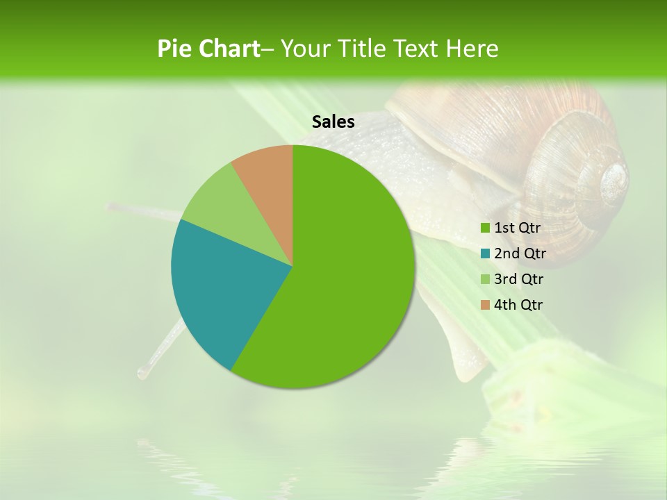 Close Up Macro Closeup PowerPoint Template