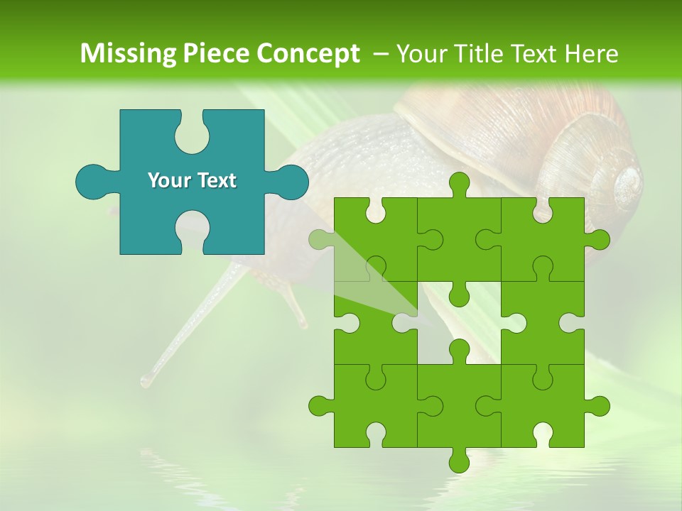 Close Up Macro Closeup PowerPoint Template