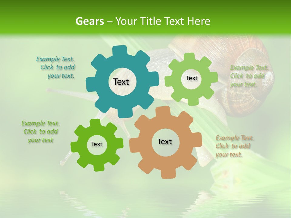 Close Up Macro Closeup PowerPoint Template