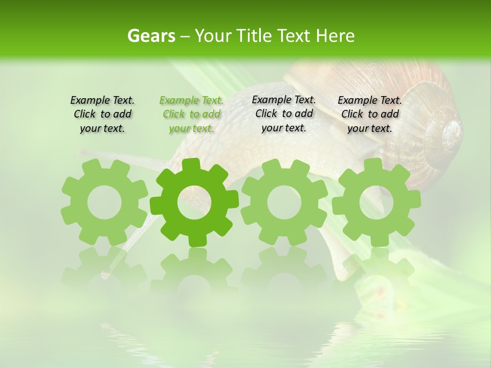 Close Up Macro Closeup PowerPoint Template