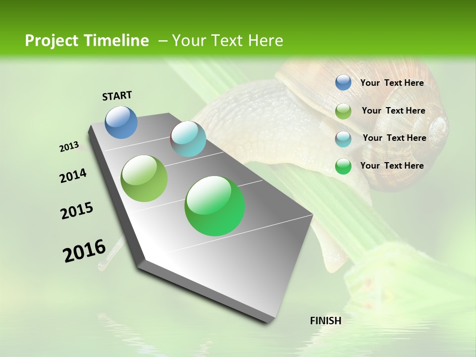 Close Up Macro Closeup PowerPoint Template