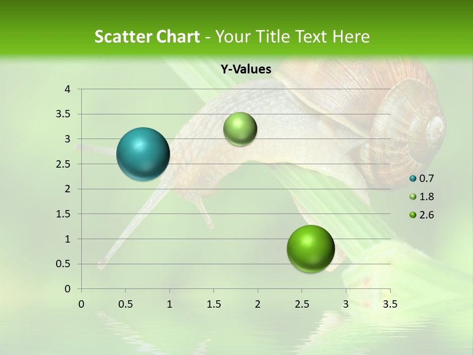 Close Up Macro Closeup PowerPoint Template