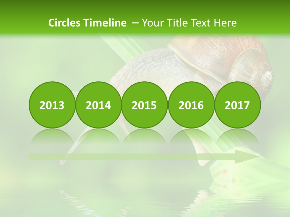 Close Up Macro Closeup PowerPoint Template