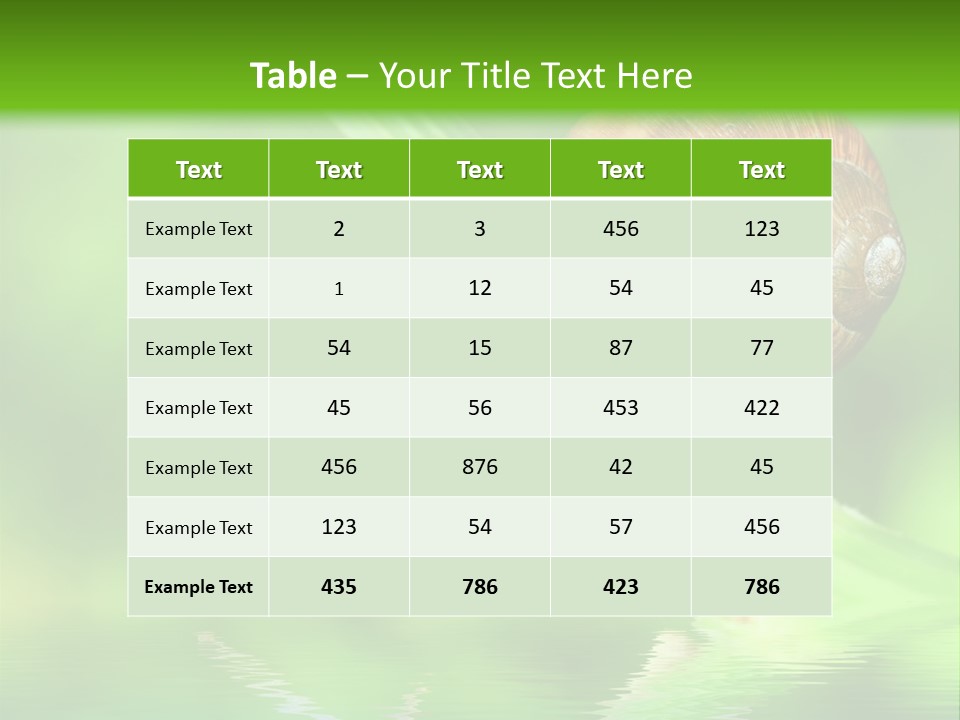 Close Up Macro Closeup PowerPoint Template