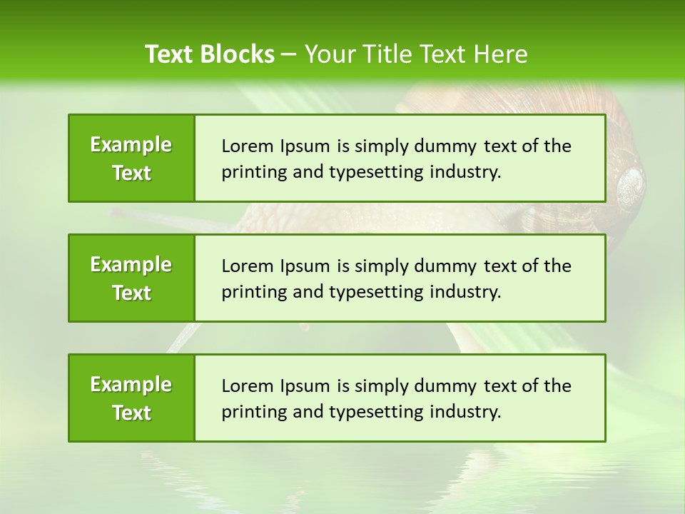 Close Up Macro Closeup PowerPoint Template