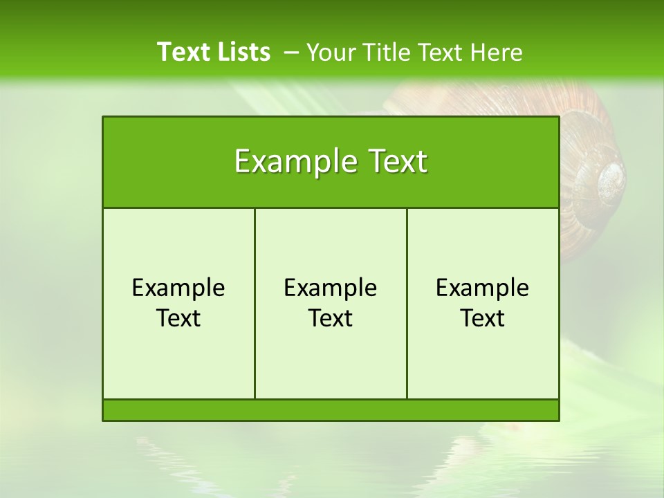 Close Up Macro Closeup PowerPoint Template