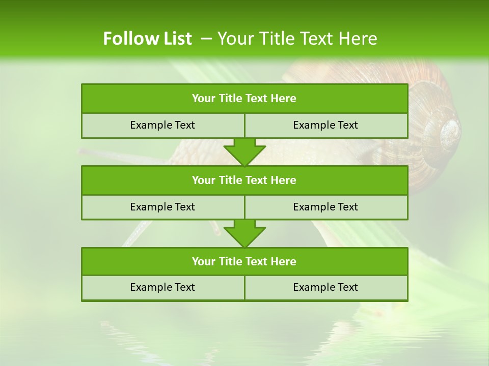 Close Up Macro Closeup PowerPoint Template