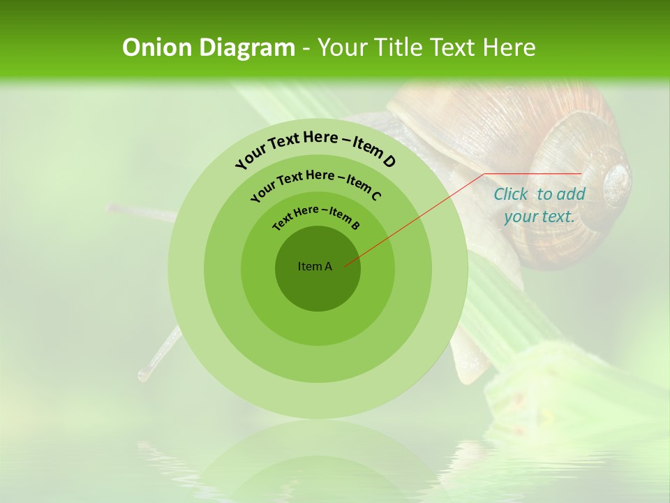 Close Up Macro Closeup PowerPoint Template